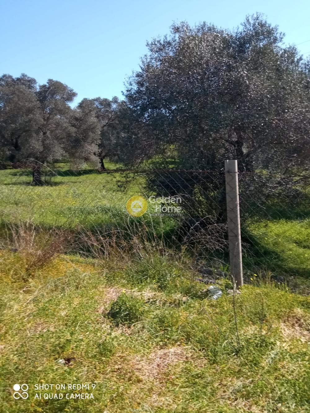 Parcel in Moni Kalivianis, Moires — Photo 6 of 9