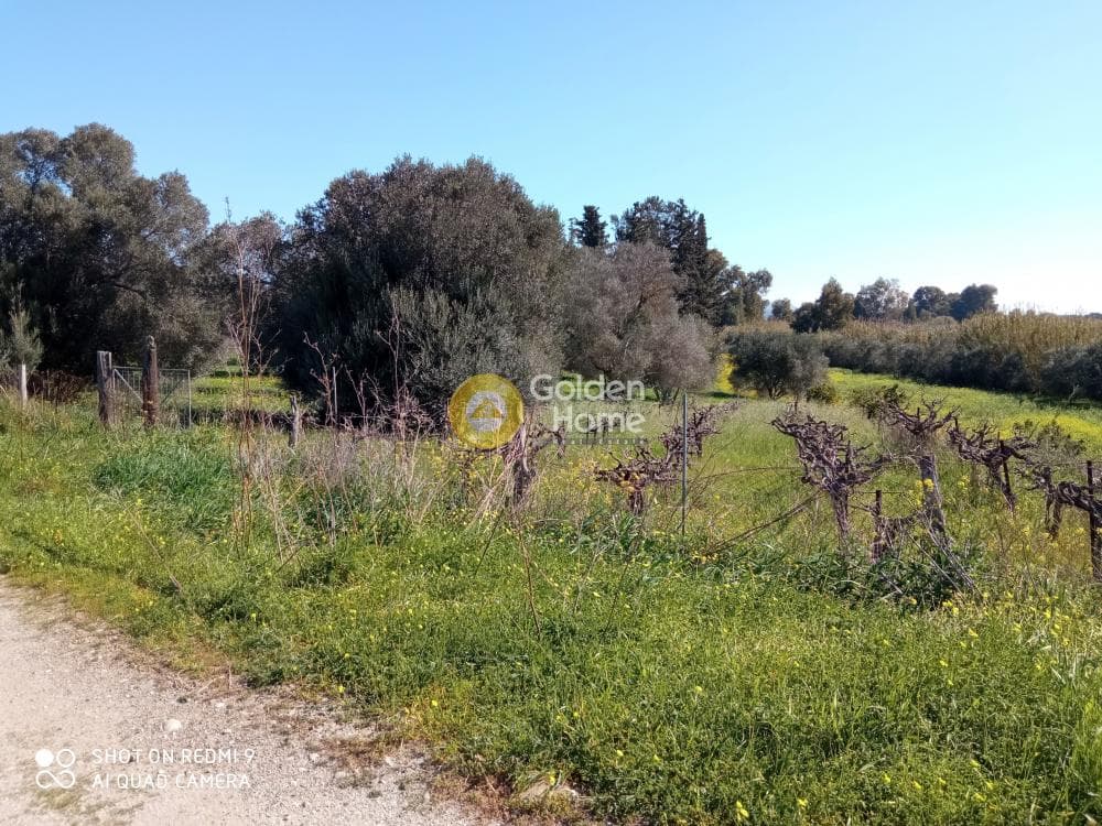 Parcel in Moni Kalivianis, Moires — Photo 2 of 9