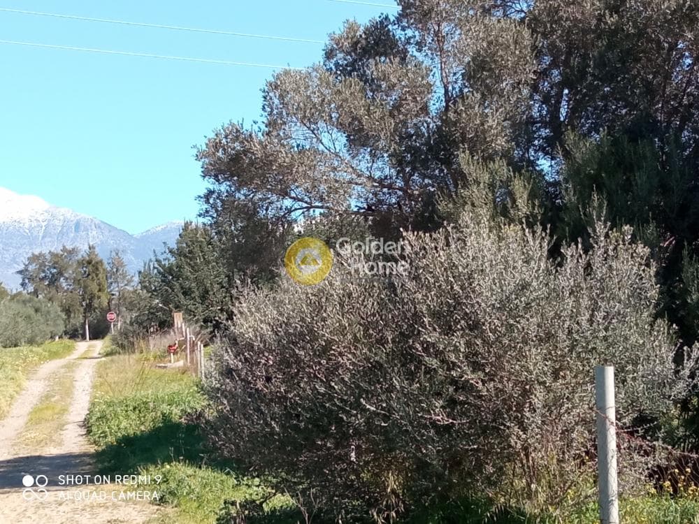 Parcel in Moni Kalivianis, Moires — Photo 7 of 9