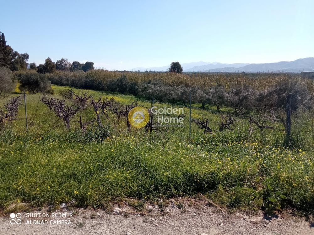 Parcel in Moni Kalivianis, Moires — Photo 4 of 9