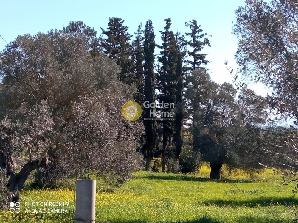 Parcel in Moni Kalivianis, Moires — Photo 9 of 9