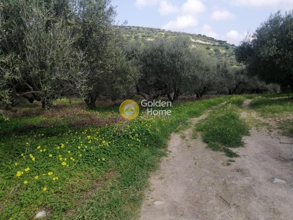 Parcel in Skalani, Episkopi — Photo 1 of 8