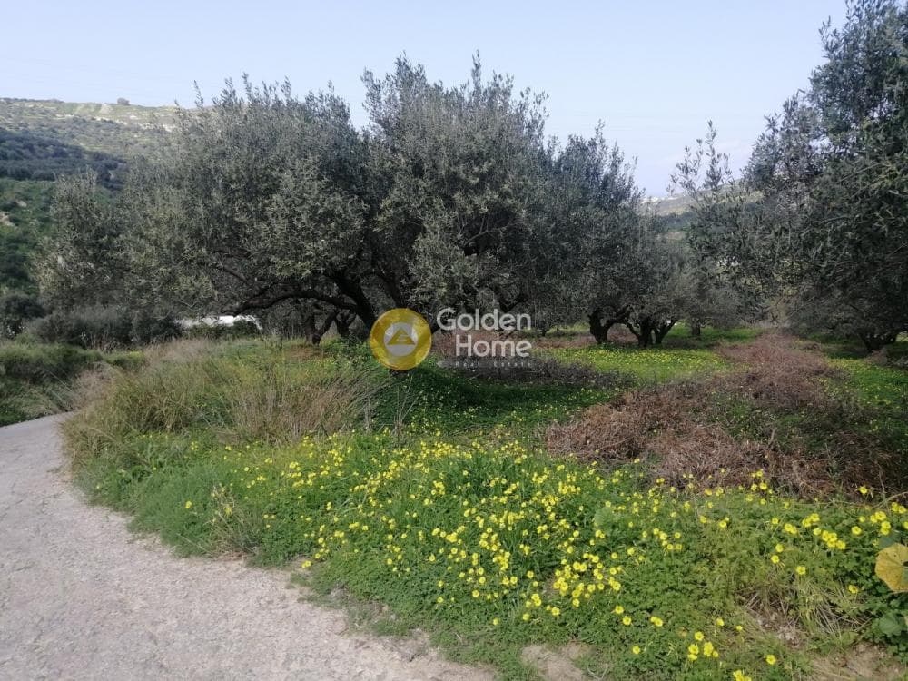 Parcel in Skalani, Episkopi — Photo 2 of 8