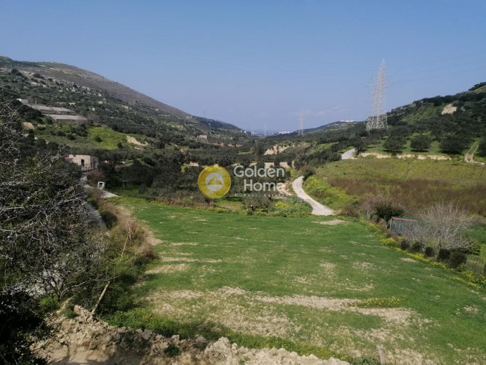 Parcel in Skalani, Episkopi — Photo 8 of 8