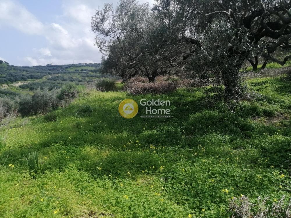 Parcel in Skalani, Episkopi — Photo 5 of 8
