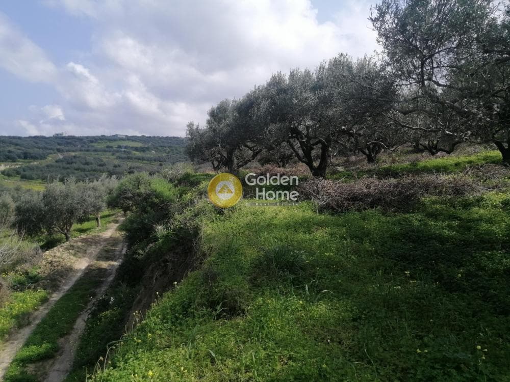 Parcel in Skalani, Episkopi — Photo 7 of 8
