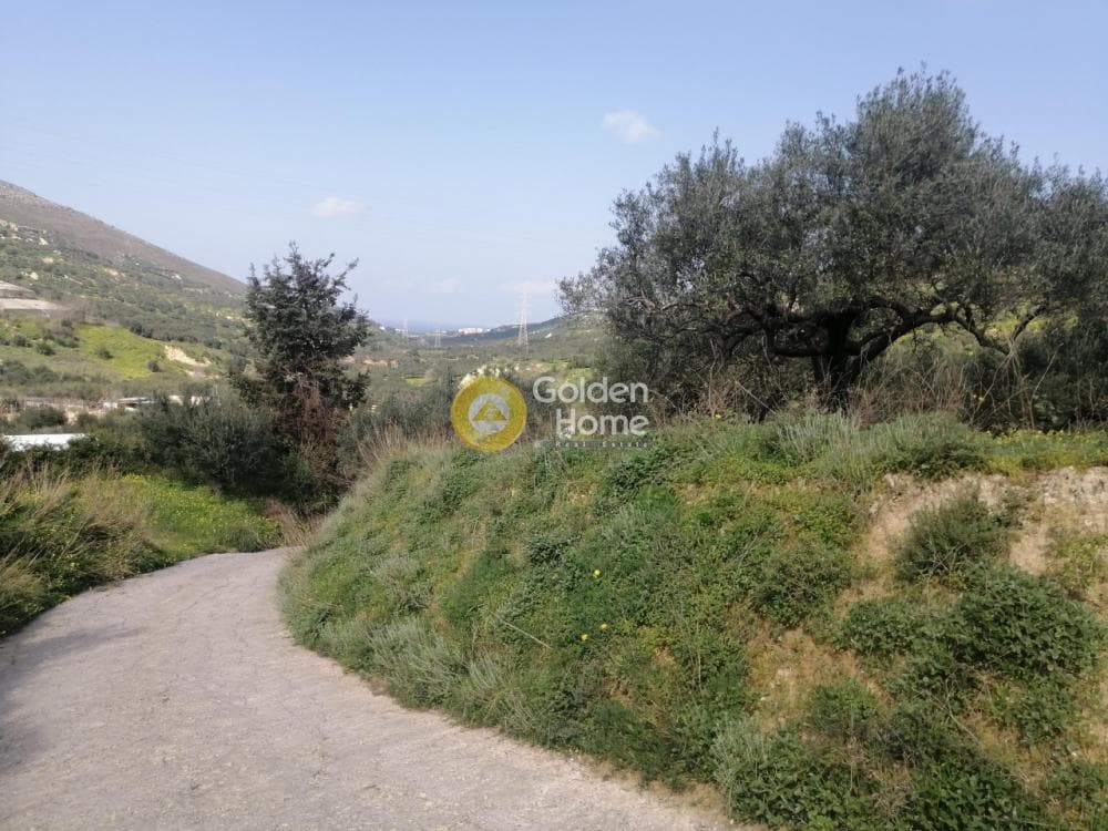 Parcel in Skalani, Episkopi — Photo 6 of 8