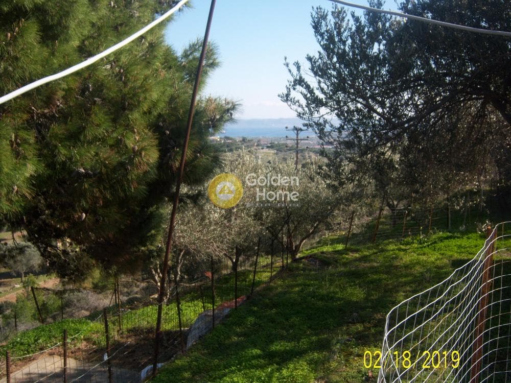 House in Markati, Lavrio — Photo 17 of 19