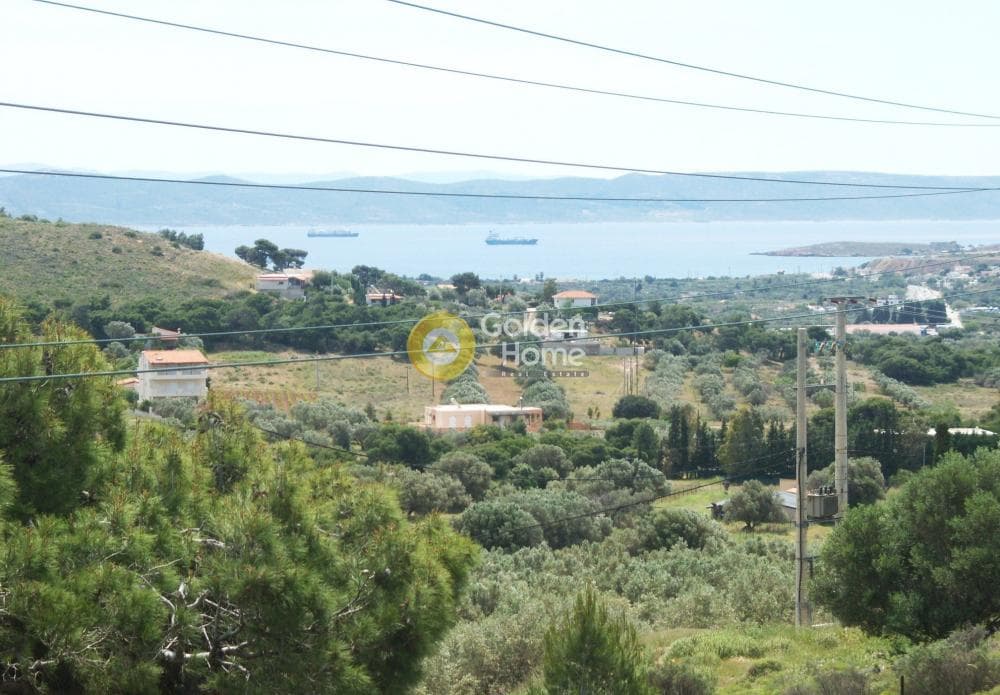 House in Markati, Lavrio — Photo 5 of 19