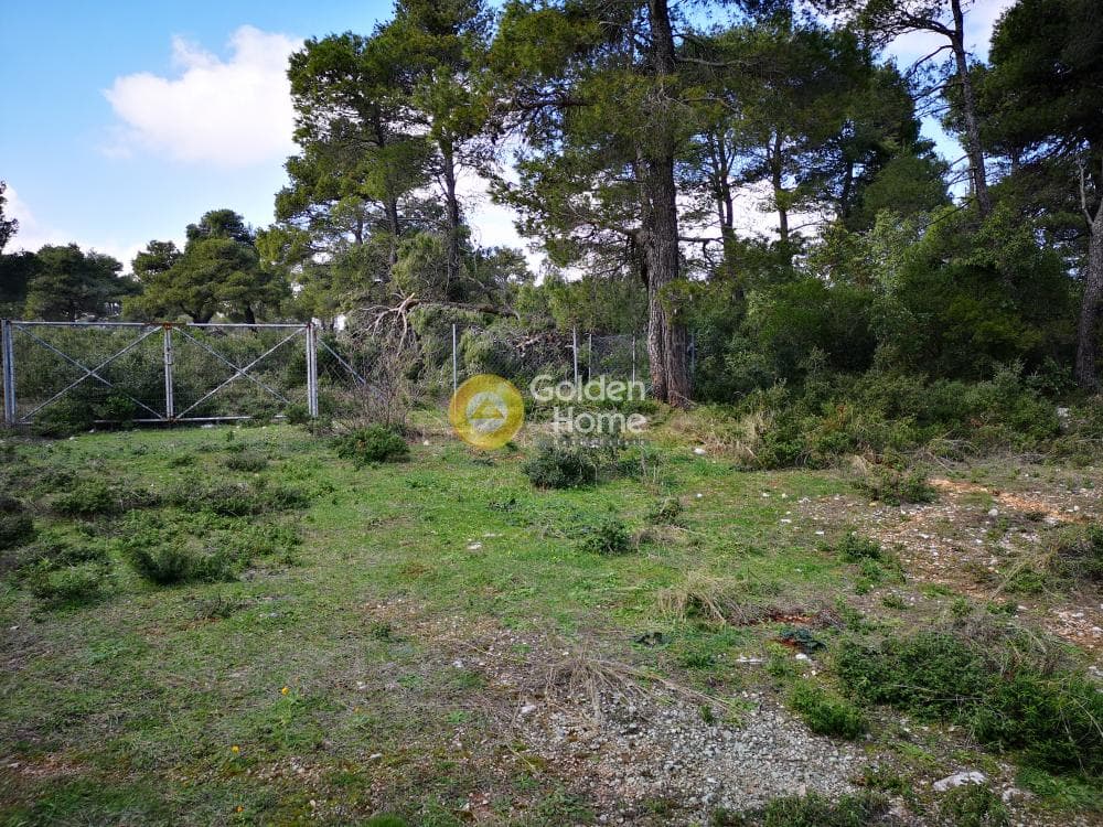 Οικόπεδο στην Αγία Τριάδα, Αφίδνες — Φωτογραφία 23 από 23