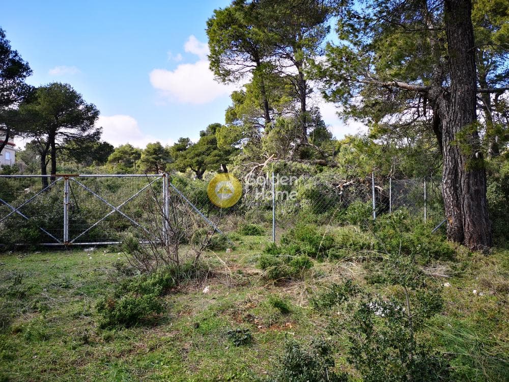 Οικόπεδο στην Αγία Τριάδα, Αφίδνες — Φωτογραφία 4 από 23