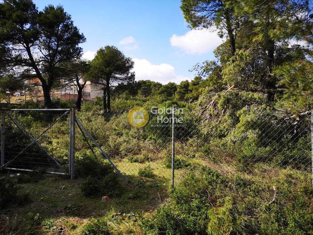 Οικόπεδο στην Αγία Τριάδα, Αφίδνες — Φωτογραφία 8 από 23