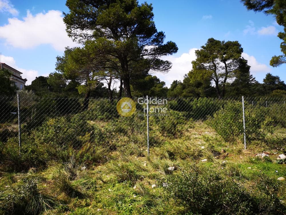 Οικόπεδο στην Αγία Τριάδα, Αφίδνες — Φωτογραφία 1 από 23