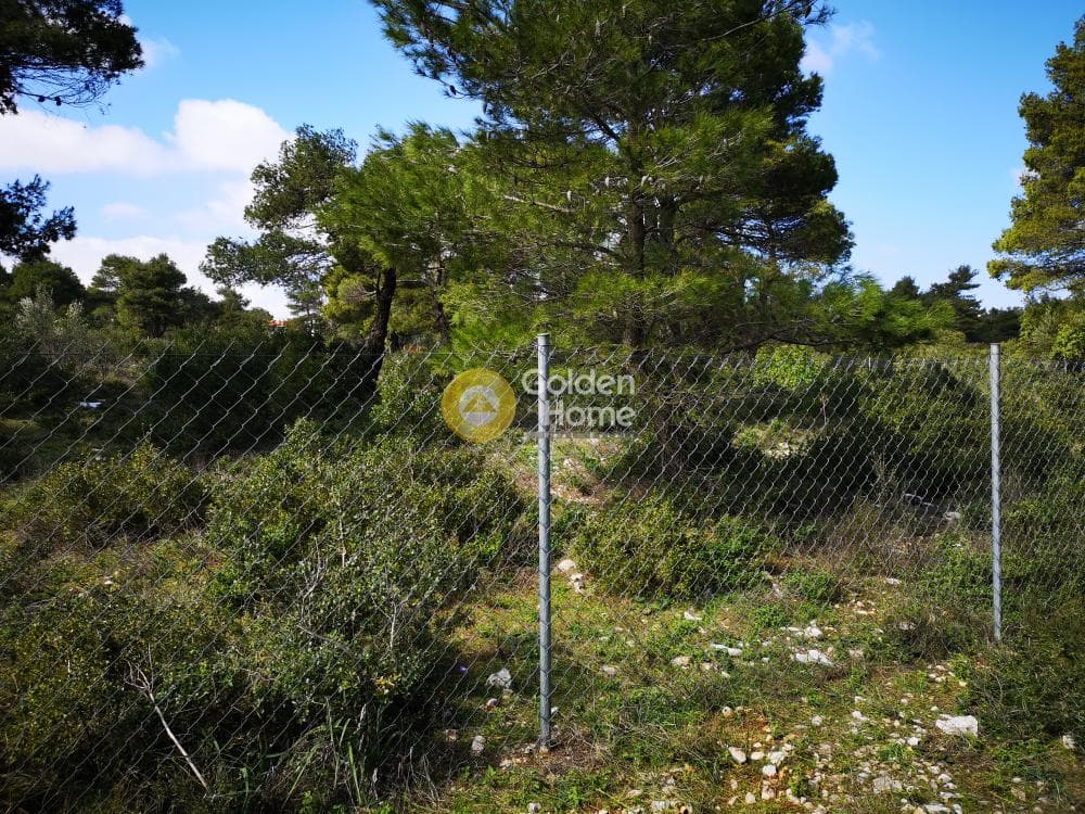 Οικόπεδο στην Αγία Τριάδα, Αφίδνες — Φωτογραφία 14 από 23