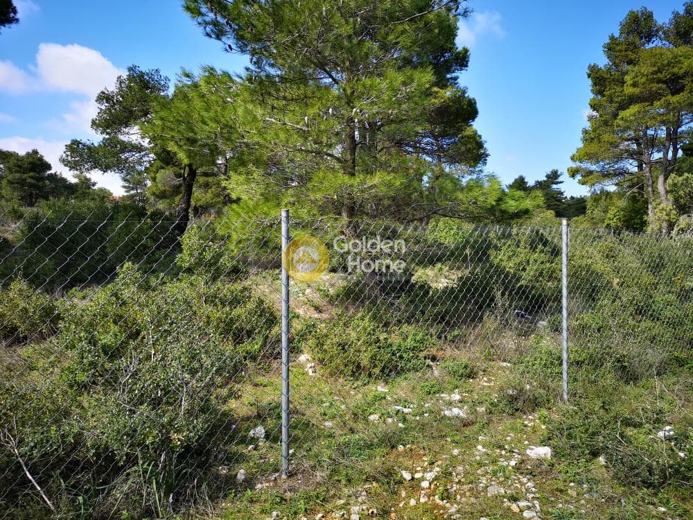 Οικόπεδο στην Αγία Τριάδα, Αφίδνες — Φωτογραφία 15 από 23