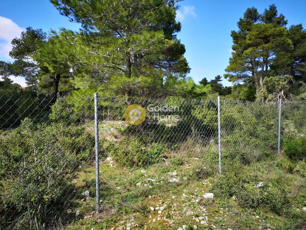 Οικόπεδο στην Αγία Τριάδα, Αφίδνες — Φωτογραφία 16 από 23
