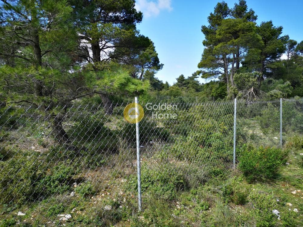 Οικόπεδο στην Αγία Τριάδα, Αφίδνες — Φωτογραφία 17 από 23