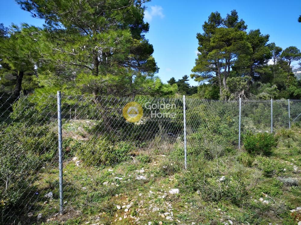 Οικόπεδο στην Αγία Τριάδα, Αφίδνες — Φωτογραφία 18 από 23