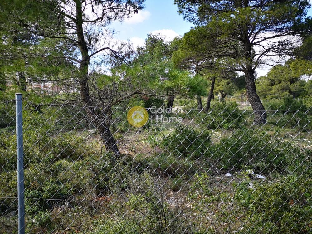 Οικόπεδο στην Αγία Τριάδα, Αφίδνες — Φωτογραφία 20 από 23