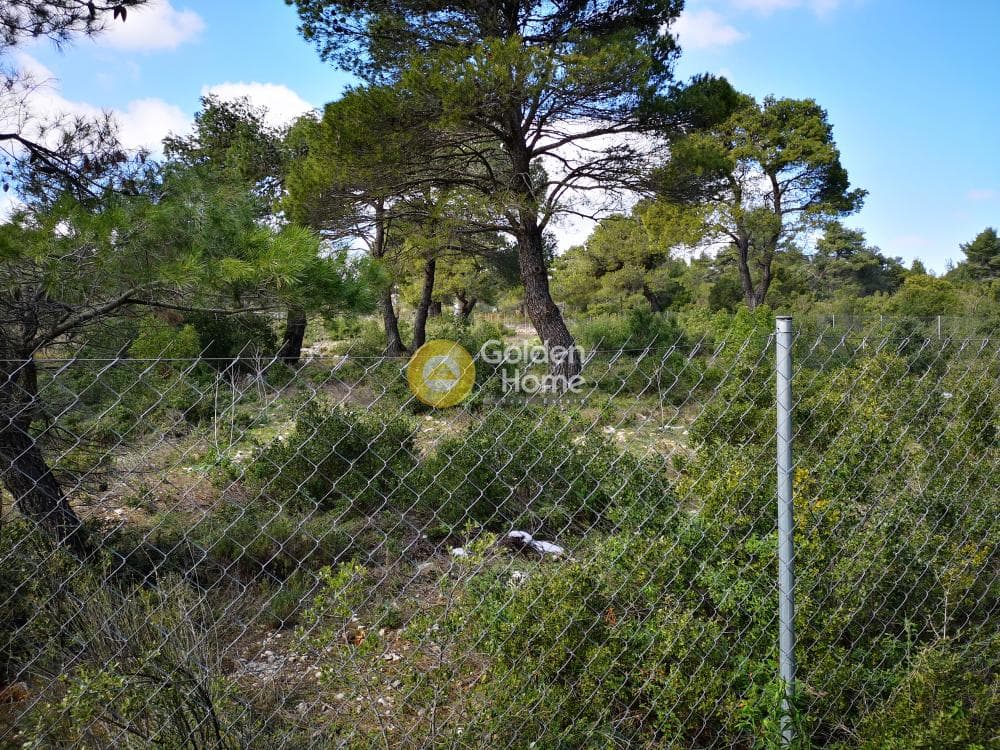 Οικόπεδο στην Αγία Τριάδα, Αφίδνες — Φωτογραφία 21 από 23