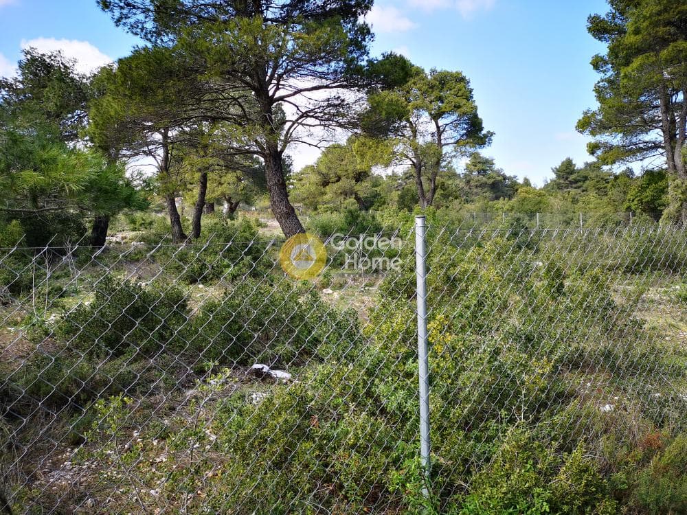 Οικόπεδο στην Αγία Τριάδα, Αφίδνες — Φωτογραφία 22 από 23