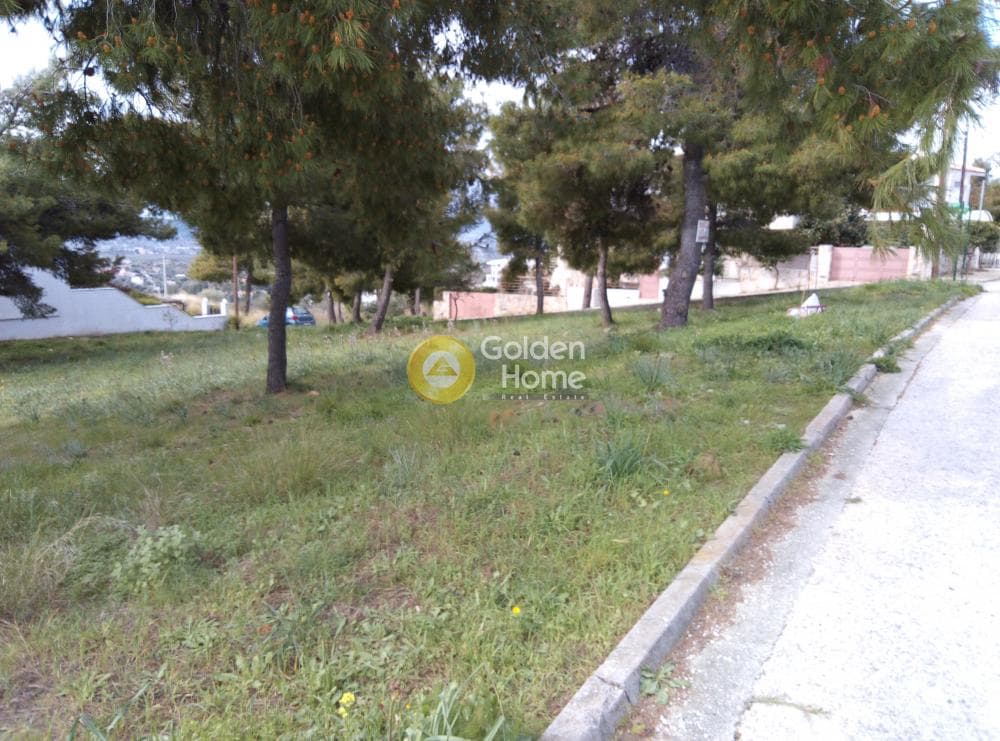 Building Plot in Nea Pallini, Pallini — Photo 2 of 4