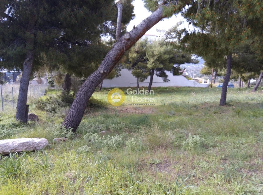 Building Plot in Nea Pallini, Pallini — Photo 3 of 4