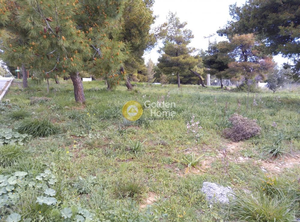 Building Plot in Nea Pallini, Pallini — Photo 4 of 4