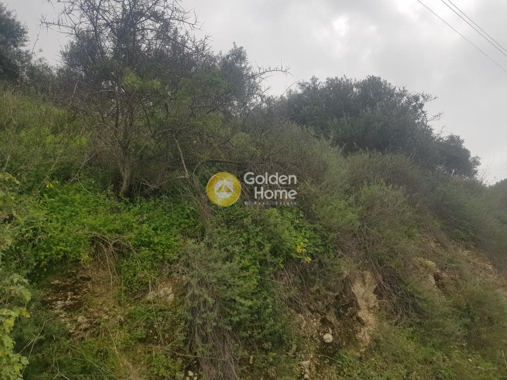 Αγροτεμάχιο στην Πατσίδες, Αρχάνες — Φωτογραφία 2 από 10
