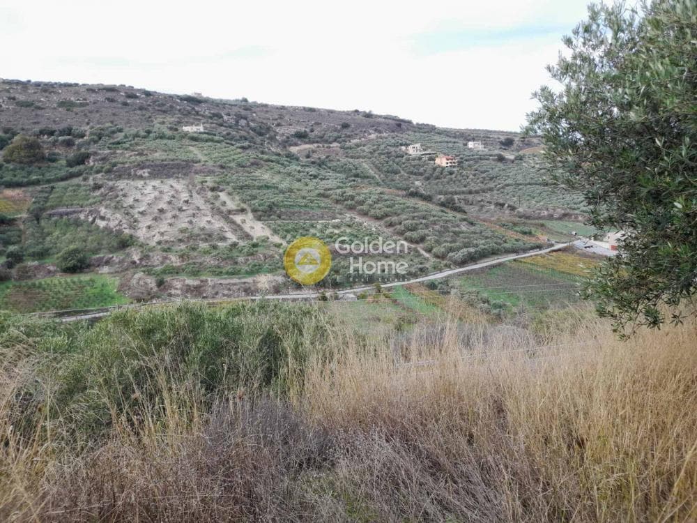 Αγροτεμάχιο στην Πατσίδες, Αρχάνες — Φωτογραφία 8 από 10