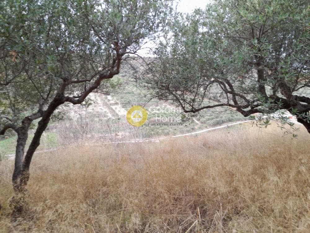 Αγροτεμάχιο στην Πατσίδες, Αρχάνες — Φωτογραφία 6 από 10