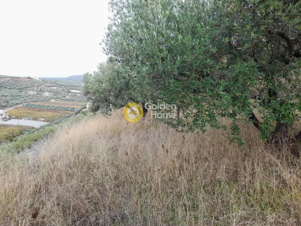 Αγροτεμάχιο στην Πατσίδες, Αρχάνες — Φωτογραφία 3 από 10