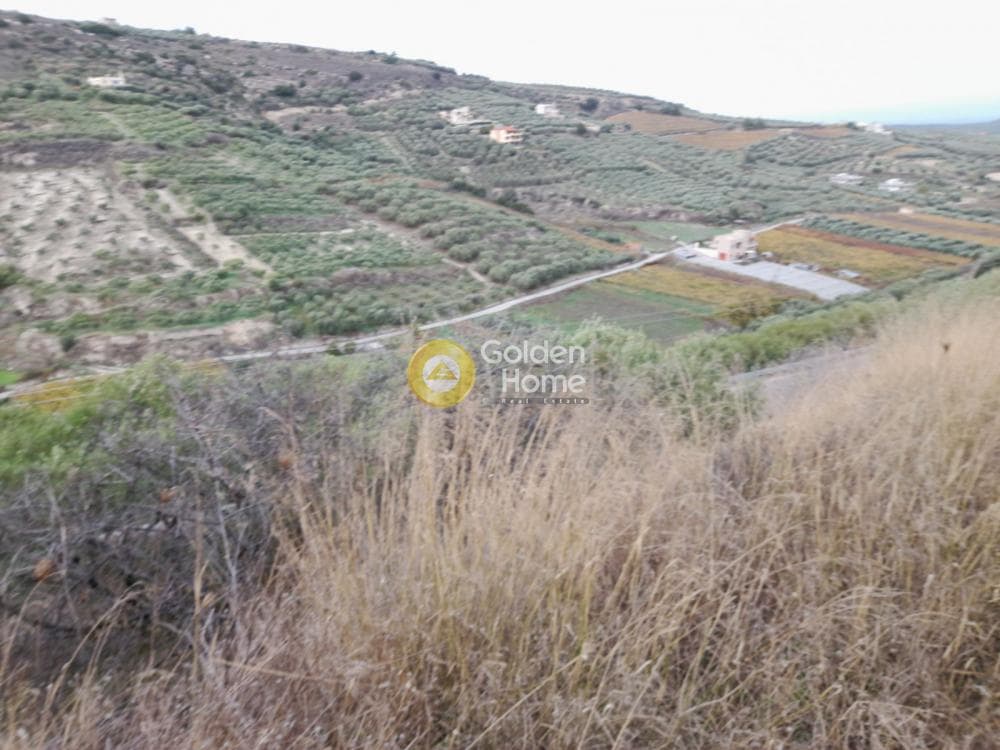 Αγροτεμάχιο στην Πατσίδες, Αρχάνες — Φωτογραφία 9 από 10