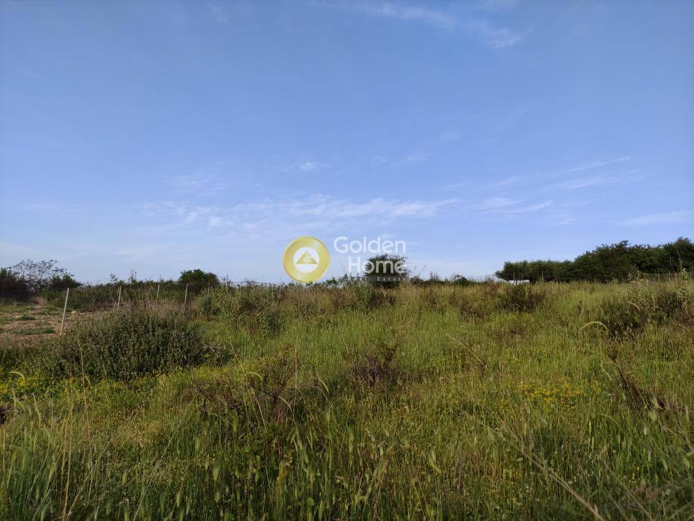 Οικόπεδο στην Βασιλείες, Αρχάνες — Φωτογραφία 8 από 13