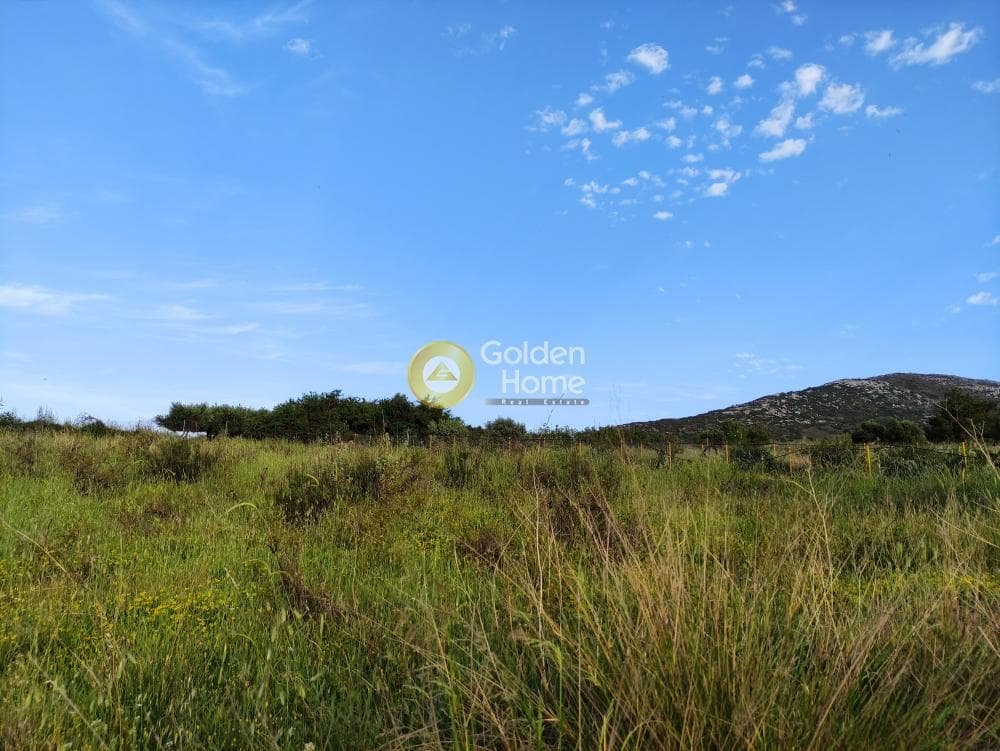 Οικόπεδο στην Βασιλείες, Αρχάνες — Φωτογραφία 10 από 13