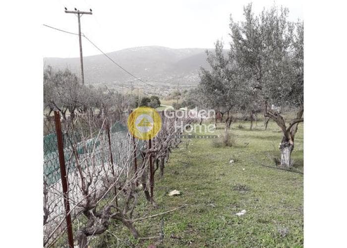 Μονοκατοικία στην Άνω Φανάρι, Τροιζήνα — Φωτογραφία 2 από 8