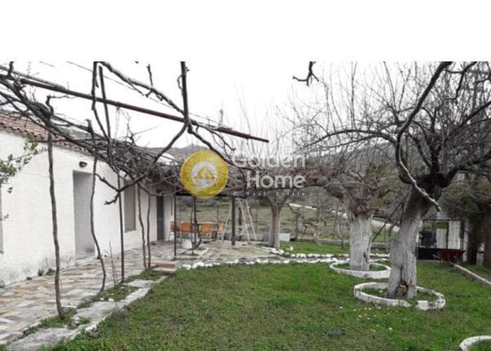 Μονοκατοικία στην Άνω Φανάρι, Τροιζήνα — Φωτογραφία 3 από 8