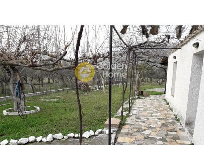 Μονοκατοικία στην Άνω Φανάρι, Τροιζήνα — Φωτογραφία 5 από 8