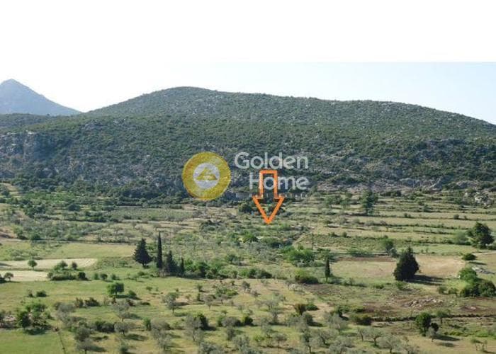 Μονοκατοικία στην Άνω Φανάρι, Τροιζήνα — Φωτογραφία 7 από 8
