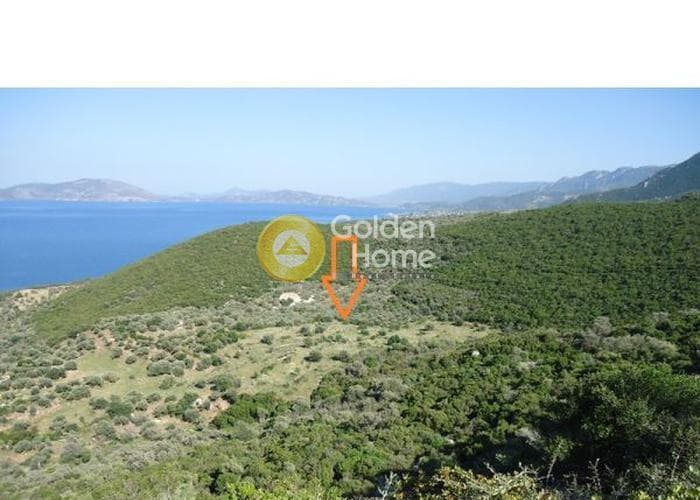 Parcel in Driopi, Trizina — Photo 4 of 4