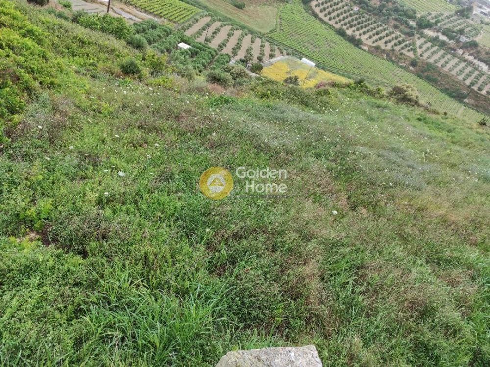 Building Plot in Ano Kalesia, Temenos — Photo 4 of 5