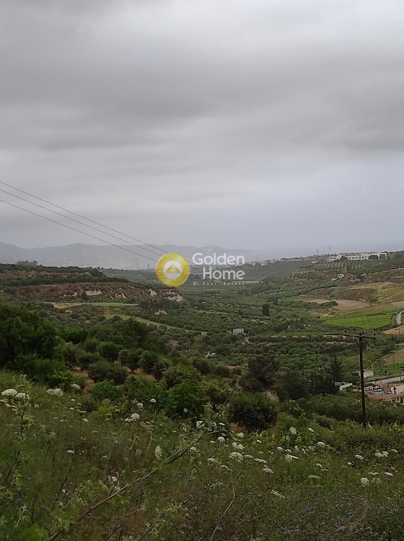 Building Plot in Ano Kalesia, Temenos — Photo 3 of 5