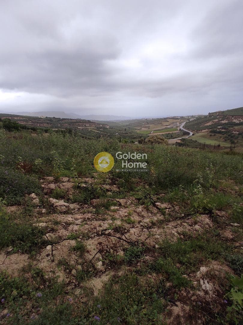 Building Plot in Ano Kalesia, Temenos — Photo 2 of 5