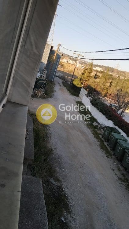 Κατάστημα στην Κέντρο, Ευκαρπία — Φωτογραφία 11 από 24