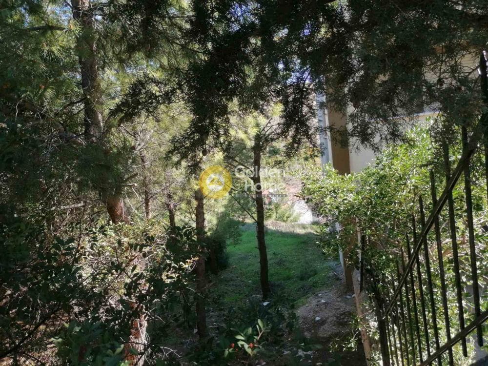 Building Plot in Kalitexnoupoli, Rafina — Photo 5 of 5