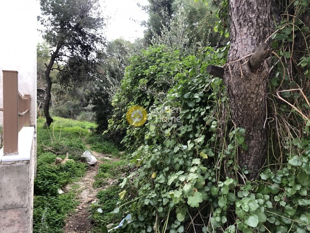 Building Plot in Agios Serafeim, Artemida (Loutsa) — Photo 2 of 5