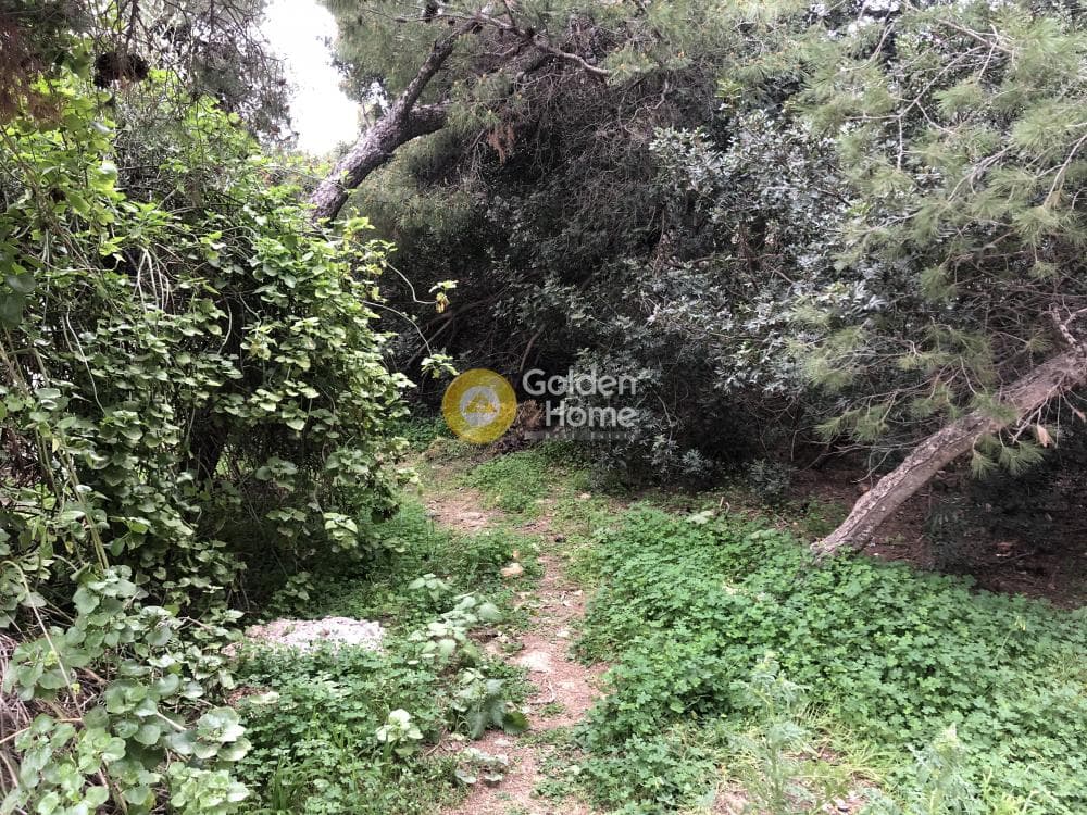 Building Plot in Agios Serafeim, Artemida (Loutsa) — Photo 3 of 5
