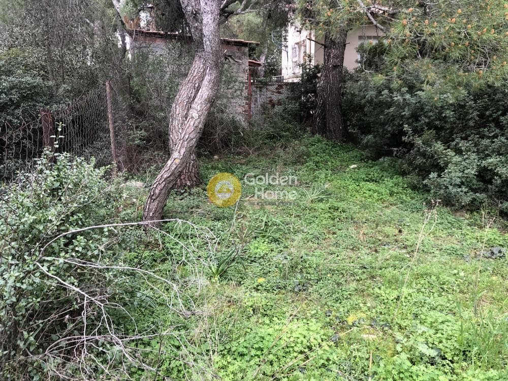 Building Plot in Agios Serafeim, Artemida (Loutsa) — Photo 4 of 5