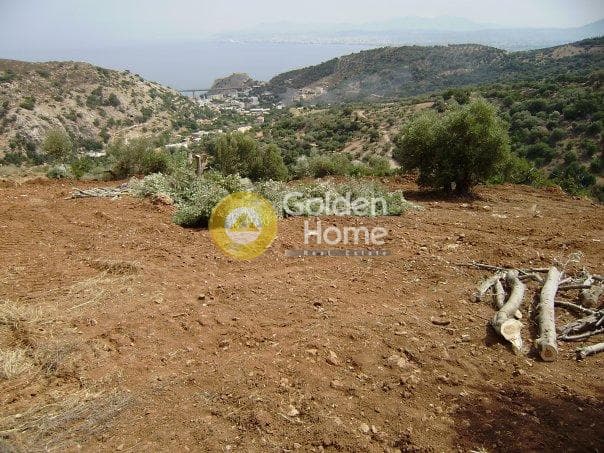 Building Plot in Rogdia, Gazi — Photo 2 of 2
