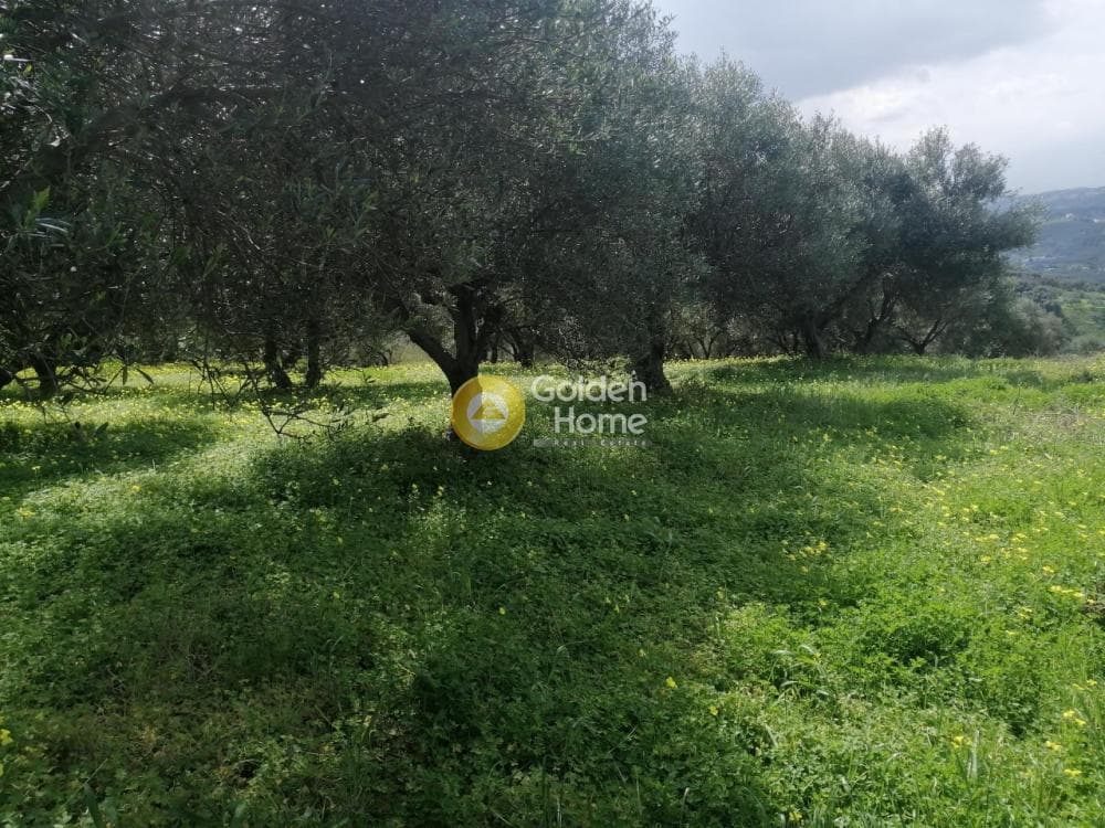 Parcel in Gournes, Temenos — Photo 20 of 25